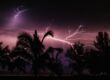 Summer Storm